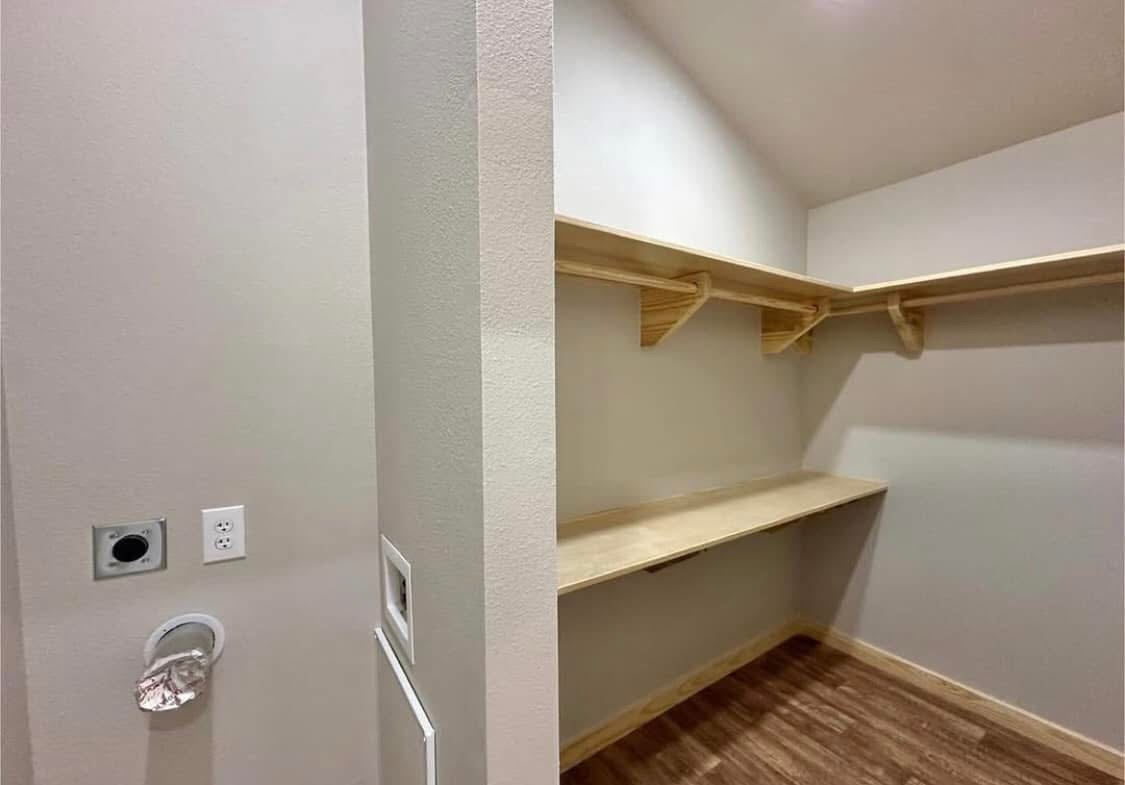 MINI CARDINAL - Image 7